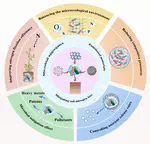 Microbial aggregates and functional materials for mitigating soil nitrogen loss: a review